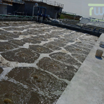 Sewage Treatment Plant Manufacturers in Gujarat India